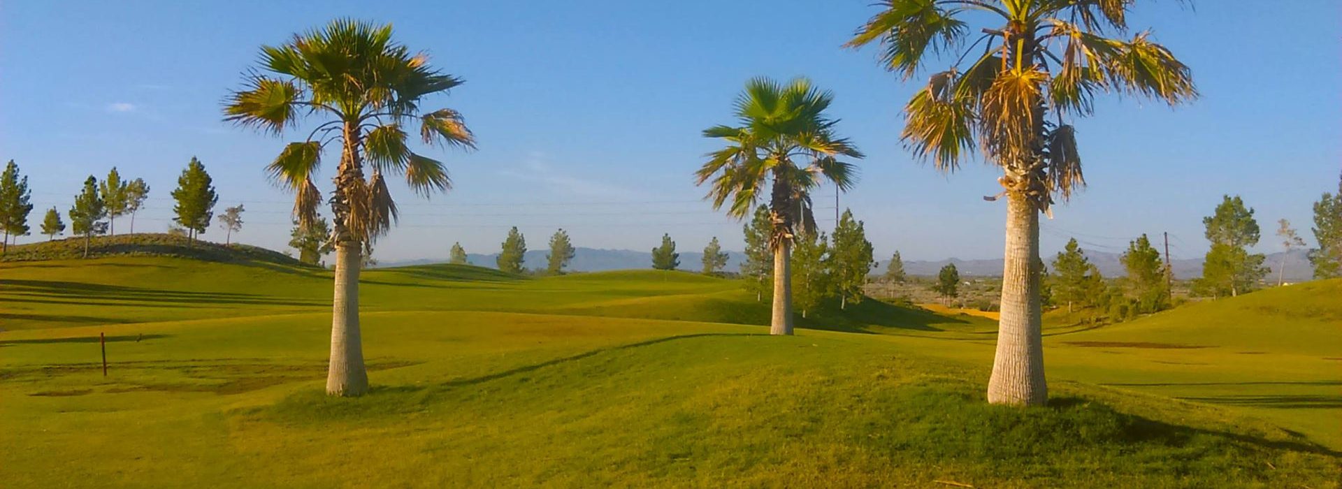 Homepage Los Lagos Golf Club